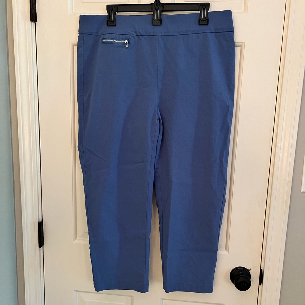 Emaline Blue Ankle length pull on pants size 16W